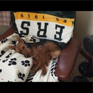 Meet your Posher, Sally